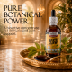 Cat’s Claw Concentrate (Uncaria tomentosa) – Alcohol-Free Flaxseed Glycerin Full-Spectrum Bioactive Liquid Concentrate