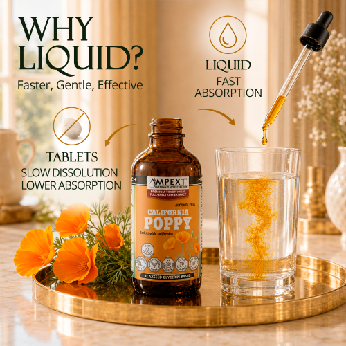 California Poppy Glycerite (Eschscholzia californica) – Alcohol-Free Flaxseed Glycerin Full-Spectrum Liquid Extract