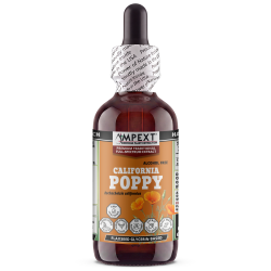 California Poppy Glycerite (Eschscholzia californica) – Alcohol-Free Flaxseed Glycerin Full-Spectrum Liquid Extract