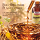 Goldenseal Root Glycerite (Hydrastis canadensis) – Alcohol-Free Flaxseed Glycerin Full-Spectrum Liquid Extract