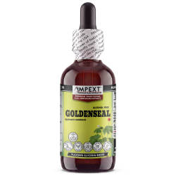Goldenseal Root Glycerite (Hydrastis canadensis) – Alcohol-Free Flaxseed Glycerin Full-Spectrum Liquid Extract