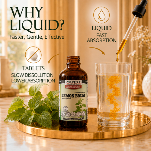 Lemon Balm Glycerite (Melissa officinalis) – Alcohol-Free Flaxseed Glycerin Full-Spectrum Liquid Extract Lemon Balm Glycerite (Melissa officinalis) – Alcohol-Free Flaxseed Glycerin Full-Spectrum Liquid Extract