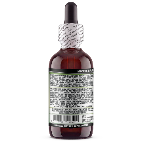 Lomatium Root Glycerite (Lomatium dissectum) – Alcohol-Free Flaxseed Glycerin Full-Spectrum Liquid Extract