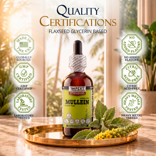 Mullein Leaf Glycerite (Verbascum thapsus) – Alcohol-Free Flaxseed Glycerin Full-Spectrum Liquid Extract
