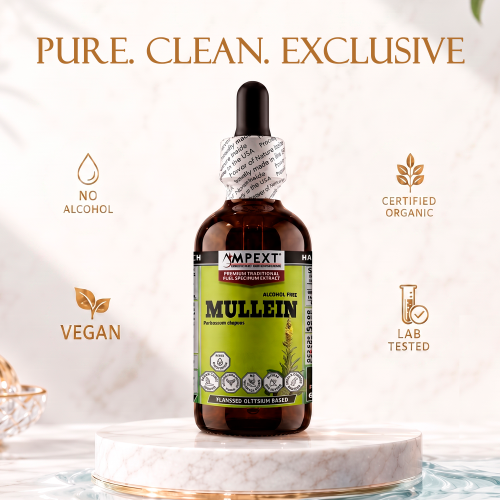 Mullein Leaf Glycerite (Verbascum thapsus) – Alcohol-Free Flaxseed Glycerin Full-Spectrum Liquid Extract