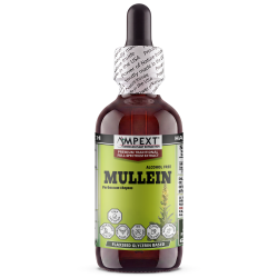 Mullein Leaf Glycerite (Verbascum thapsus) – Alcohol-Free Flaxseed Glycerin Full-Spectrum Liquid Extract