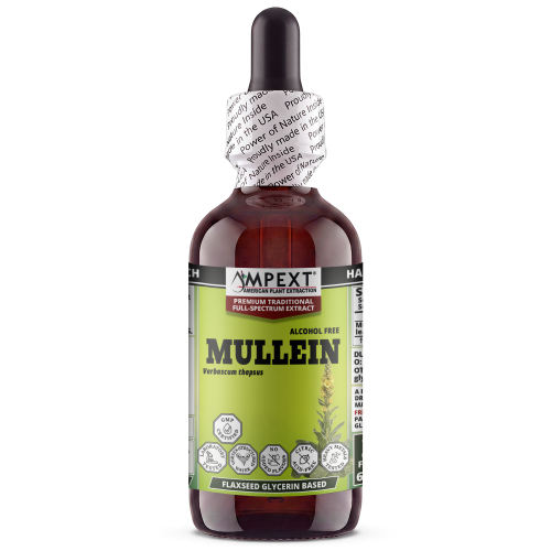 Mullein Leaf Glycerite (Verbascum thapsus) – Alcohol-Free Flaxseed Glycerin Full-Spectrum Liquid Extract