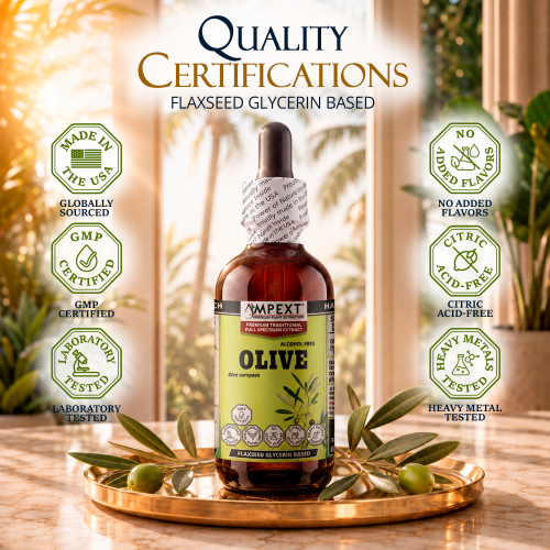 Olive Leaf Glycerite (Olea europaea) – Alcohol-Free Flaxseed Glycerin Full-Spectrum Liquid Extract