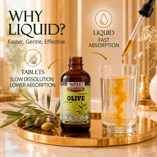 Olive Leaf Glycerite (Olea europaea) – Alcohol-Free Flaxseed Glycerin Full-Spectrum Liquid Extract