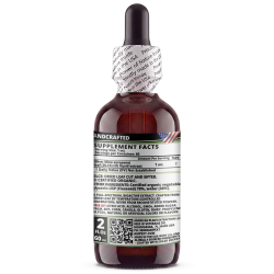 Olive Leaf Glycerite (Olea europaea) – Alcohol-Free Flaxseed Glycerin Full-Spectrum Liquid Extract