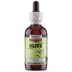 Olive Leaf Glycerite (Olea europaea) – Alcohol-Free Flaxseed Glycerin Full-Spectrum Liquid Extract