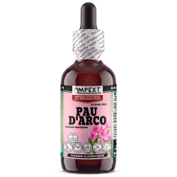 Pau d'Arco Glycerite (Tabebuia impetiginosa) – Alcohol-Free Flaxseed Glycerin Full-Spectrum Liquid Extract