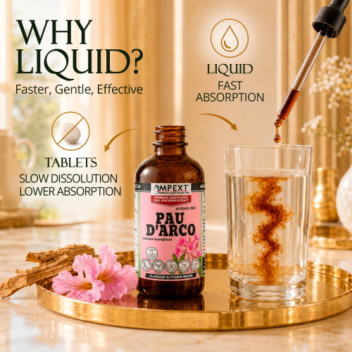 Pau d'Arco Glycerite (Tabebuia impetiginosa) – Alcohol-Free Flaxseed Glycerin Full-Spectrum Liquid Extract