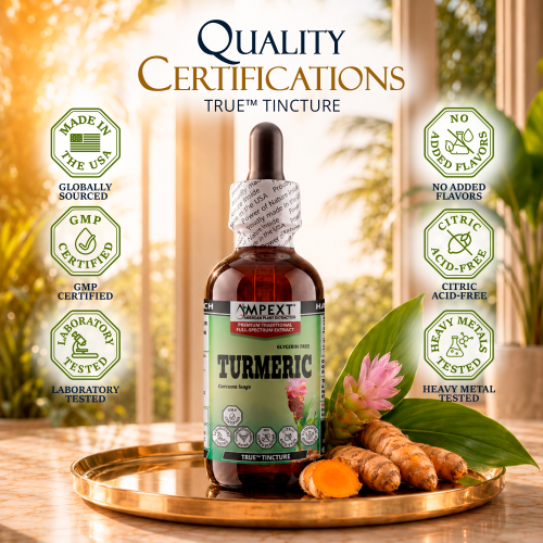 Turmeric (Curcuma longa) TRUE™ Tincture – Glycerin-Free Full-Spectrum Rhizome Extract