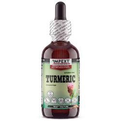 Turmeric (Curcuma longa) TRUE™ Tincture – Glycerin-Free Full-Spectrum Rhizome Extract