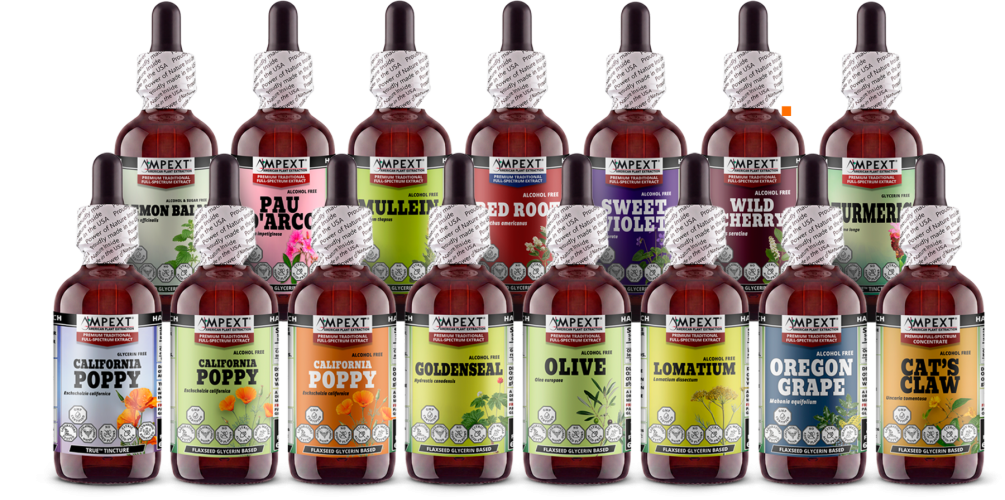 AMPEXT alcohol-free liquid extracts family