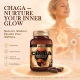 Chaga (Inonotus obliquus) Mushroom Extract, 90ct