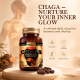 Chaga (Inonotus obliquus) Mushroom Extract, 90ct