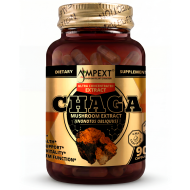 Chaga (Inonotus obliquus) Mushroom Extract, 90ct