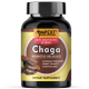 Chaga (Inonotus obliquus) Mushroom Extract, 90ct