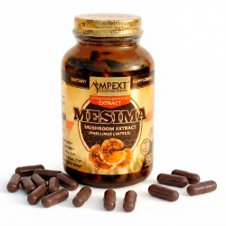 Mesima - Black Hoof (Phellinus linteus) Mushroom Extract, Extremly rich in Beta-Glucans - 30%, 90ct Mesima - Black Hoof (Phellinus linteus) Mushroom Extract, Extremly rich in Beta-Glucans - 30%, 90ct