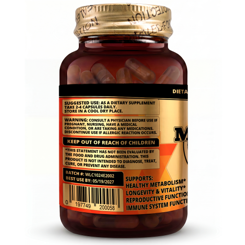 Maitake (Grifola frondosa) Mushroom Extract, 90ct