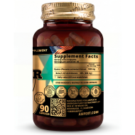 Oyster (Pleurotus ostreatus) Mushroom Extract, 90ct
