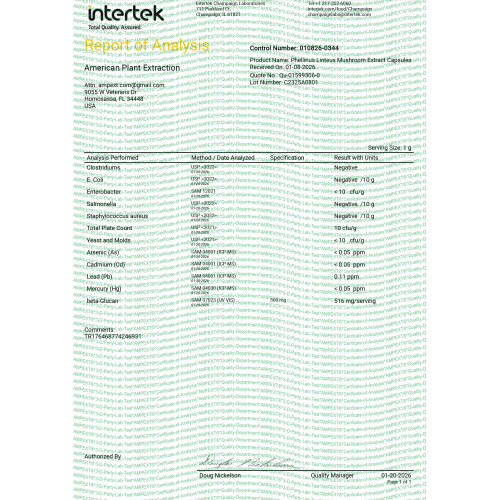 Meshima - Black Hoof (Phellinus linteus) Mushroom Extract, Extremly rich in Beta-Glucans - 30%, 90ct