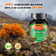 Cordyceps  (Cordyceps sinensis) Mushroom Extract, 90ct