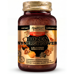 Dozen Synergy Power™ Mushroom Extract, 100g