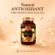 Shiitake (Lentinula edodes) Mushroom Extract, 90ct