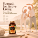 Shiitake (Lentinula edodes) Mushroom Extract, 90ct