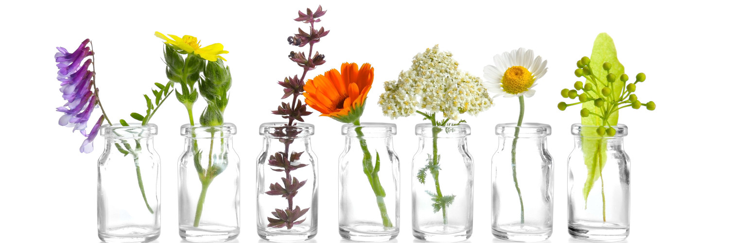 Is the Plant on the Label the Plant in the Bottle? What the Evidence Really Shows in 2026