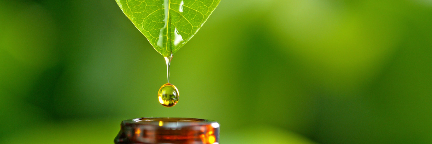 Extract Ratios Explained: Why a 1:3 Label Is Not Always Better Than an Honest 1:10