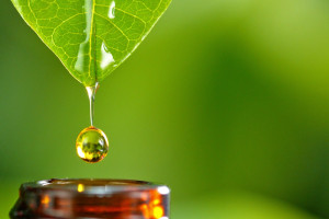 Extract Ratios Explained: Why a 1:3 Label Is Not Always Better Than an Honest 1:10