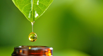 Extract Ratios Explained: Why a 1:3 Label Is Not Always Better Than an Honest 1:10