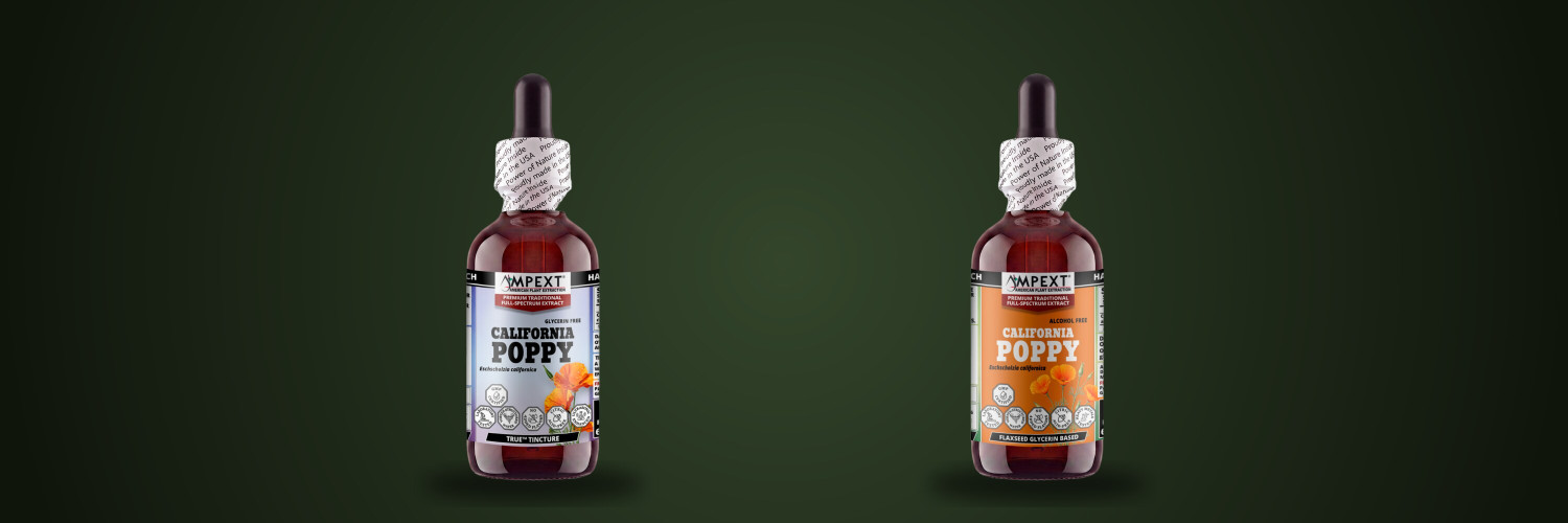 Tincture or Glycerite? Alcohol-Based vs Alcohol-Free Extracts, Honestly Compared
