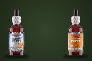 Tincture or Glycerite? Alcohol-Based vs Alcohol-Free Extracts, Honestly Compared
