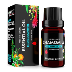 Chamomile (Chamaemelum nobile) 100% Essential Oil, Premium Grade, 10ml Chamomile (Chamaemelum nobile) 100% Essential Oil, Premium Grade, 10ml