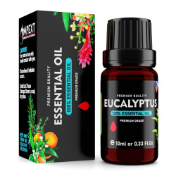 Eucalyptus (Eucalyptus globulus) 100% Essential Oil, Premium Grade, 10ml Eucalyptus (Eucalyptus globulus) 100% Essential Oil, Premium Grade, 10ml