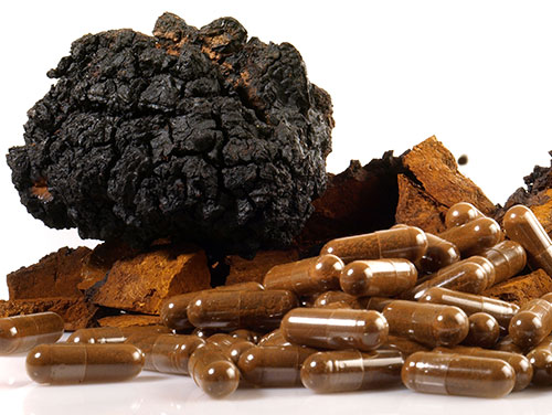 Chaga Mushroom capsules