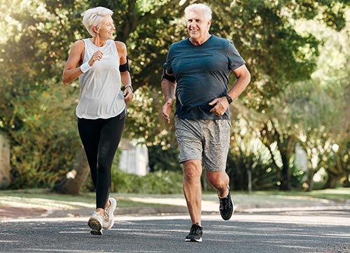 Shiitake Promotes Heart Function