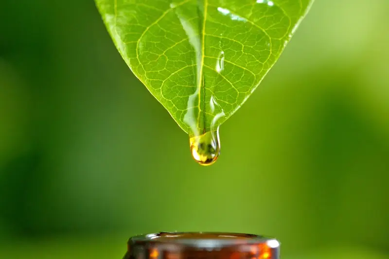 A drop of plant extract falling from a green leaf into an amber bottle