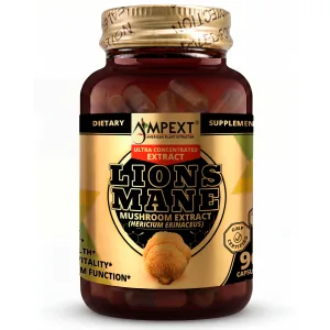 Lion’s Mane (Hericium erinaceus) Mushroom Extract, 90ct