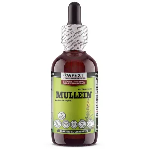 Mullein Leaf Glycerite (Verbascum thapsus)