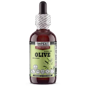 Olive Leaf Glycerite (Olea europaea)